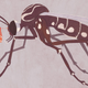 Imagen para el artículo titulado Qué ocurriría en el planeta si el hombre consigue extinguir a todas las especies de mosquitos